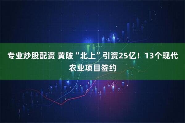 专业炒股配资 黄陂“北上”引资25亿！13个现代农业项目签约