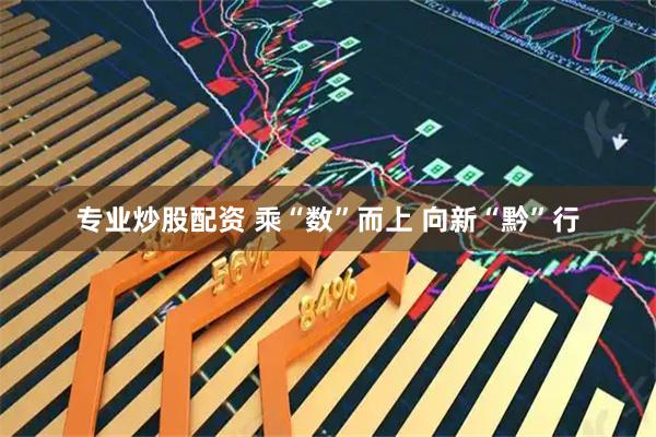 专业炒股配资 乘“数”而上 向新“黔”行