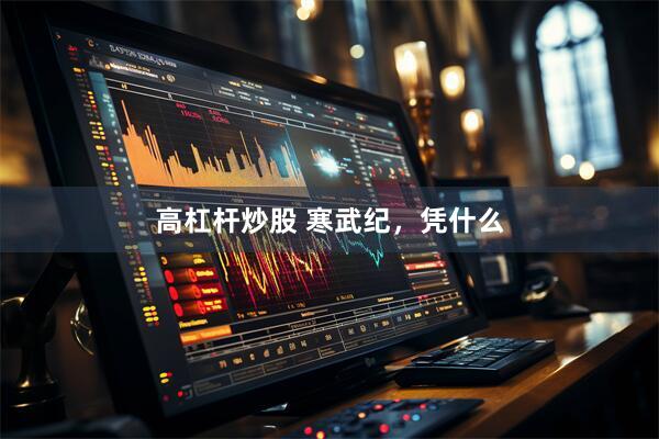 高杠杆炒股 寒武纪，凭什么