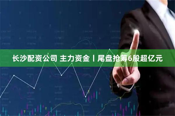 长沙配资公司 主力资金丨尾盘抢筹6股超亿元