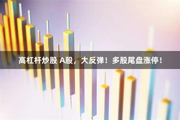 高杠杆炒股 A股，大反弹！多股尾盘涨停！