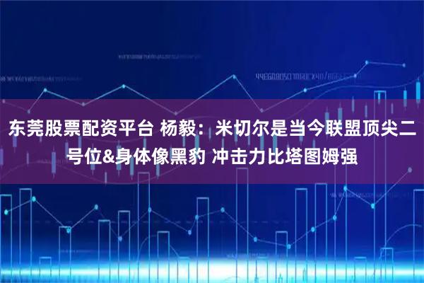东莞股票配资平台 杨毅：米切尔是当今联盟顶尖二号位&身体像黑豹 冲击力比塔图姆强