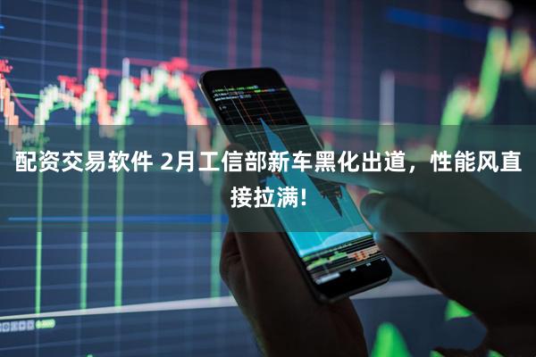 配资交易软件 2月工信部新车黑化出道，性能风直接拉满!