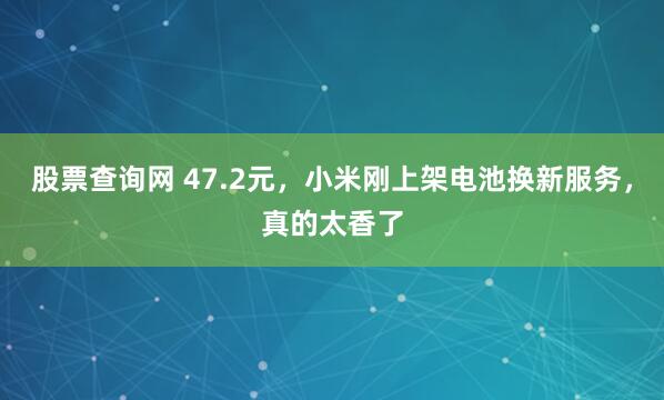 股票查询网 47.2元，小米刚上架电池换新服务，真的太香了